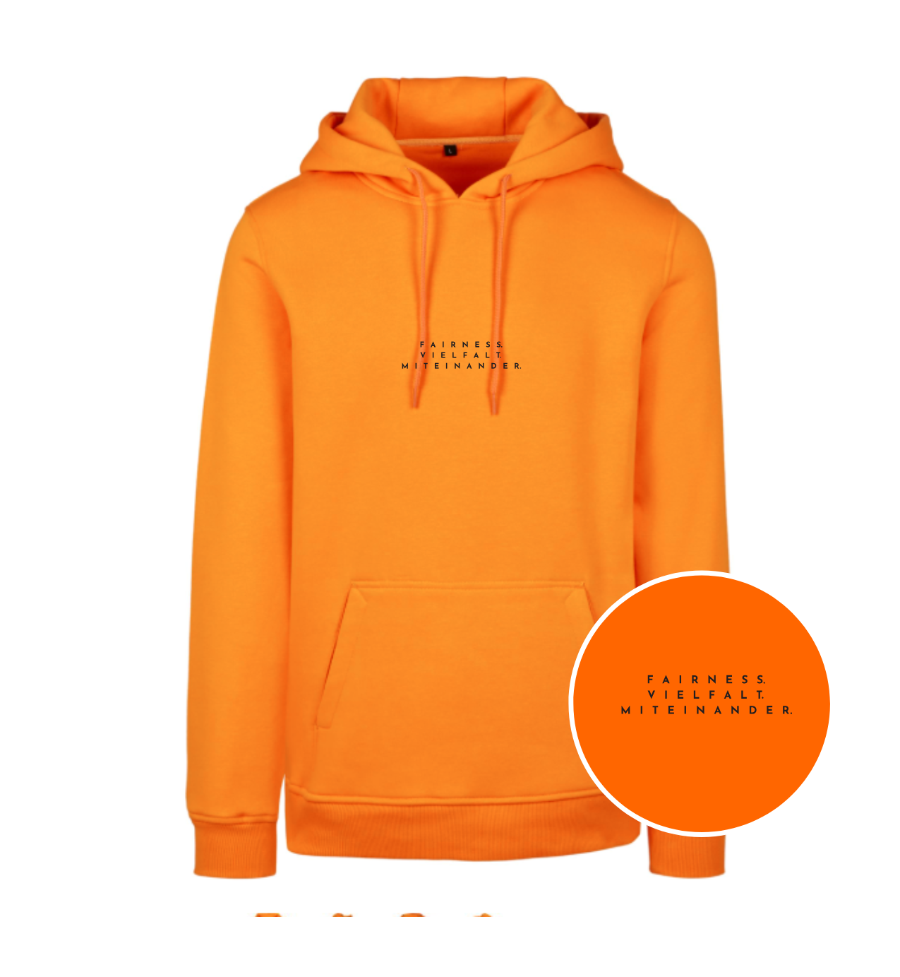 Hoodie FVM Realschule- Verschiedene Farben